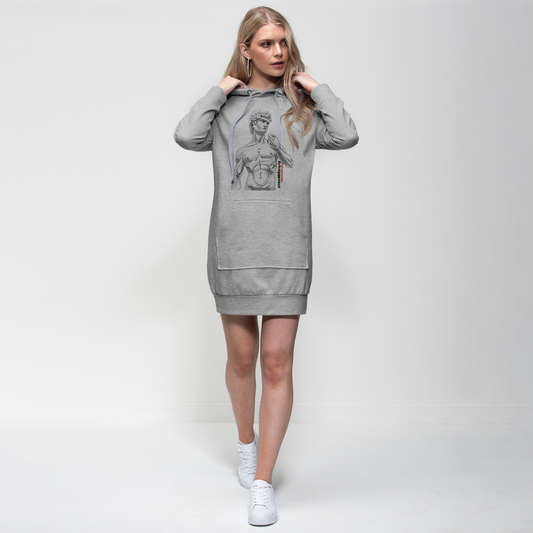Aerial Van Go "Artrepreneur" (USA) Premium Hoodie Dress