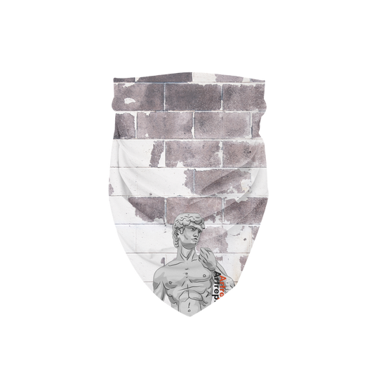 Aerial Van Go "Artrepreneur" (USA) Bandana