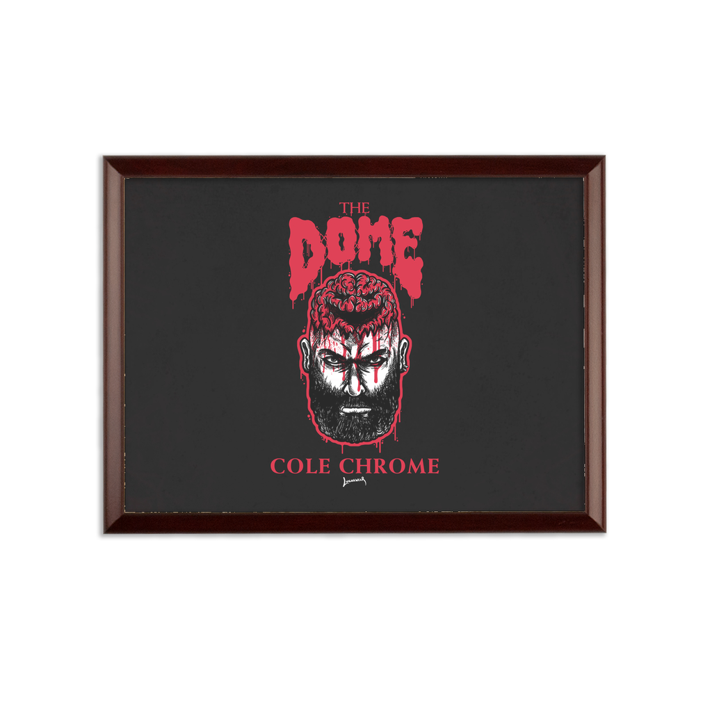 Cole Chrome (USA) The Dome Wall Art Plaque