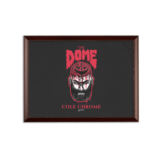 Cole Chrome (USA) The Dome Wall Art Plaque